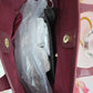 Tote Armata di Mare